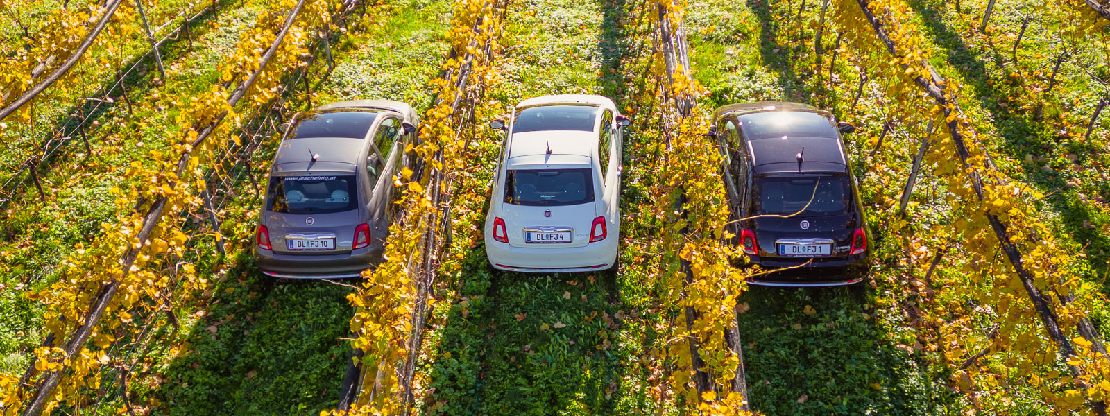 Fiat 500 1